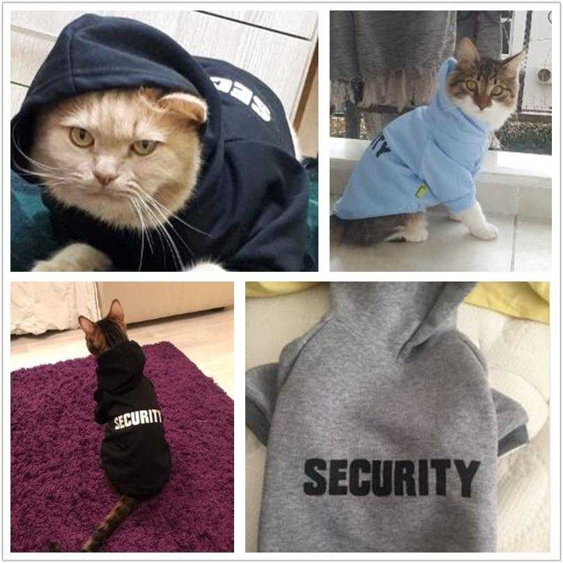 Gilet de sécurité pour chat - bleublancbeauf.com