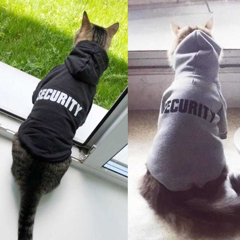 Gilet de sécurité pour chat - bleublancbeauf.com